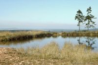 Der zweite Plateau-Teich (Faule Brache I), 1989 im Alter von 6 Jahren