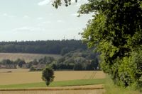 Trekker-Fahrspur im Kornfeld über dem Friedhof, in der 